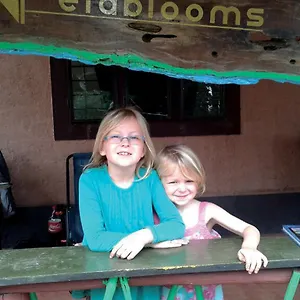 Farm stay Ela Blooms, Vythiri